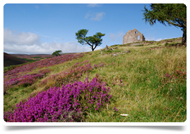 Consultant In Emergency Medicine Aberdeen Jobs 7189