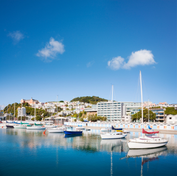 Wellington Oriental Bay