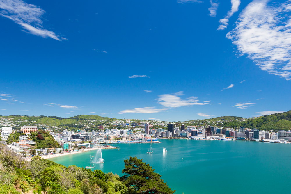 Wellington view Mount Victoria