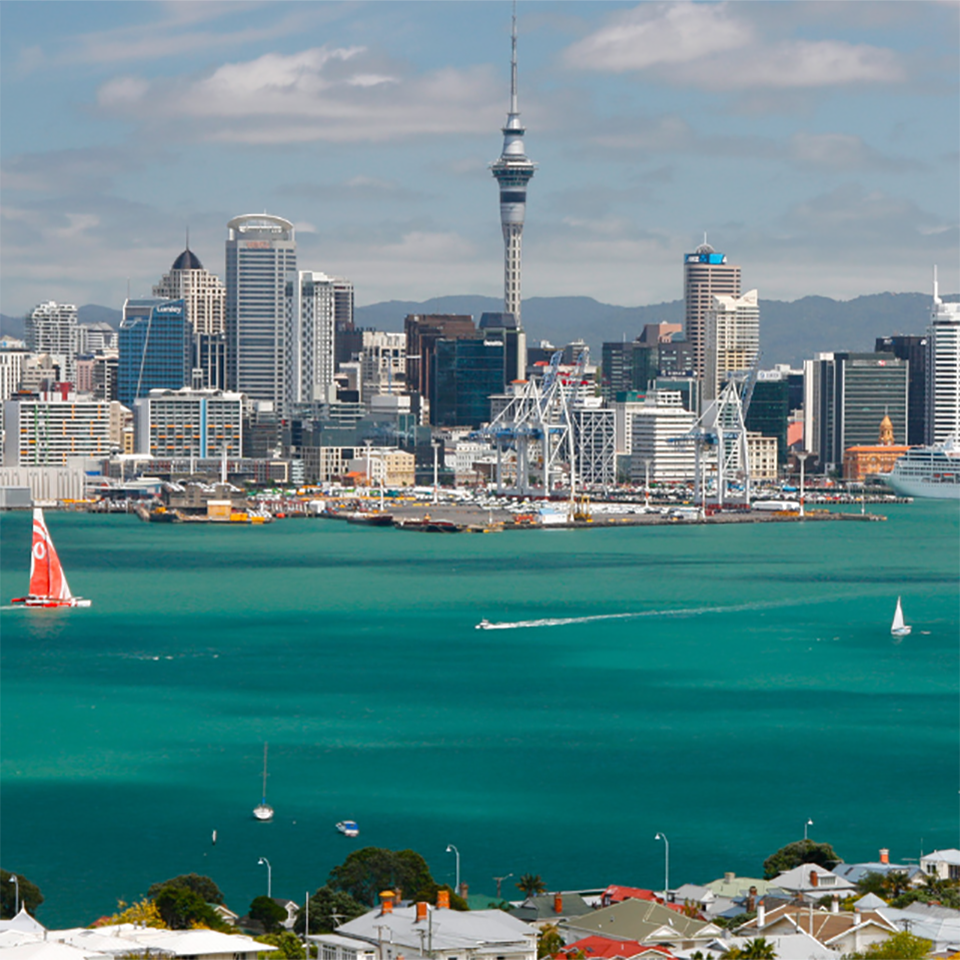 A GP's Auckland Adventure