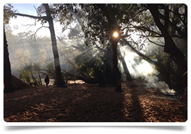 Al's Australia Trip – The Challenges and Rewards of Indigenous Healthcare (Part 7)