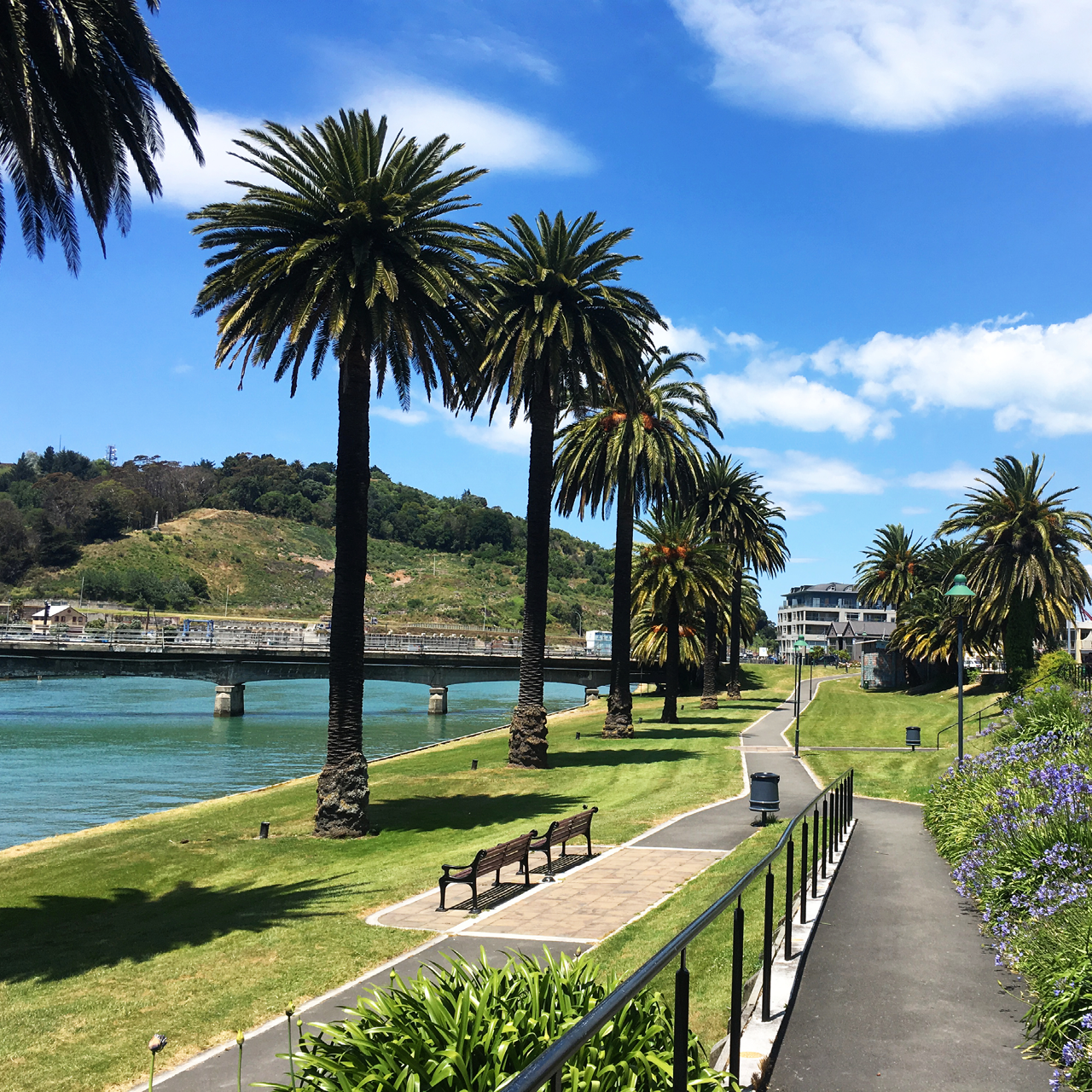 Live and Work in Gisborne - New Zealand