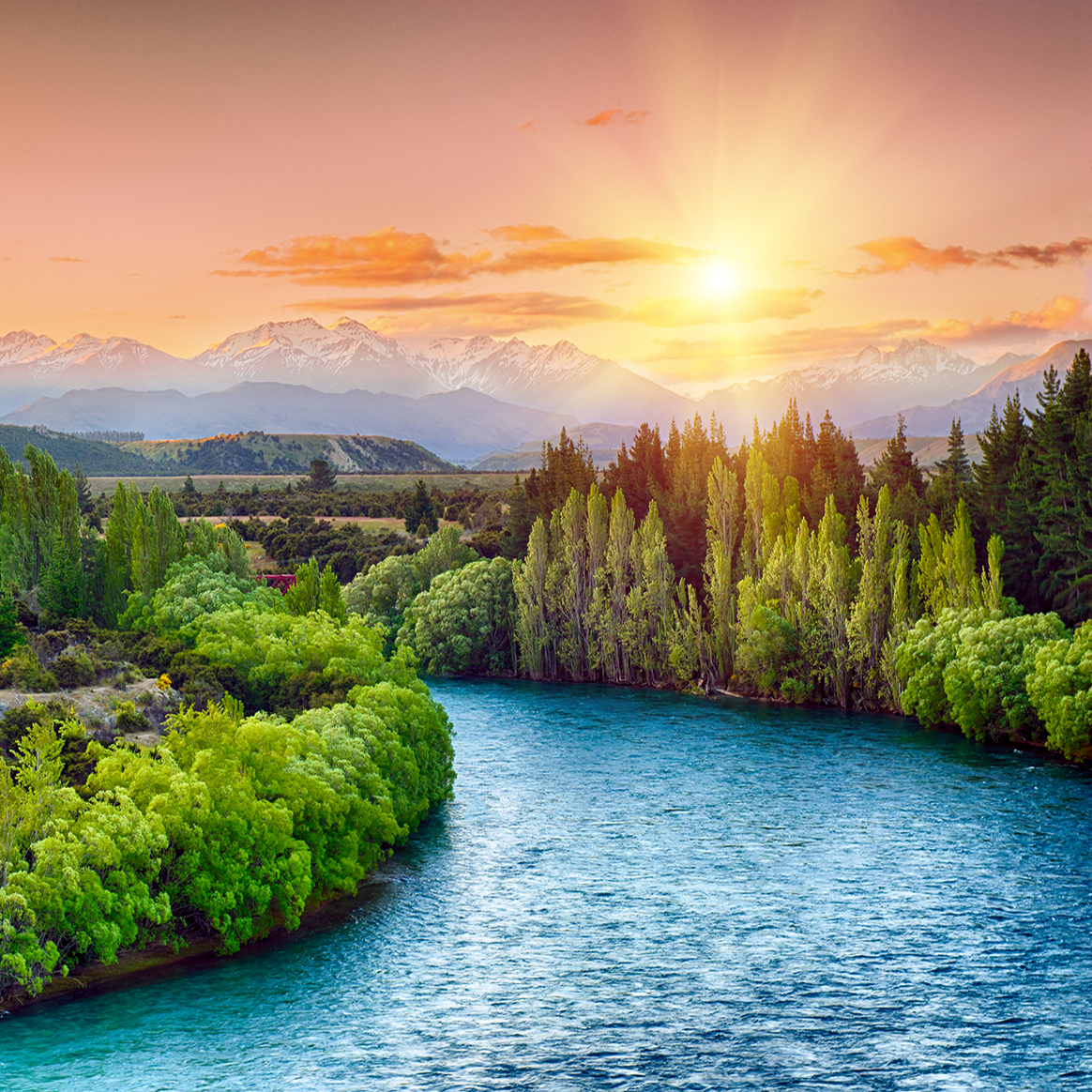 NZ Border Exceptions for Critical Health Workers