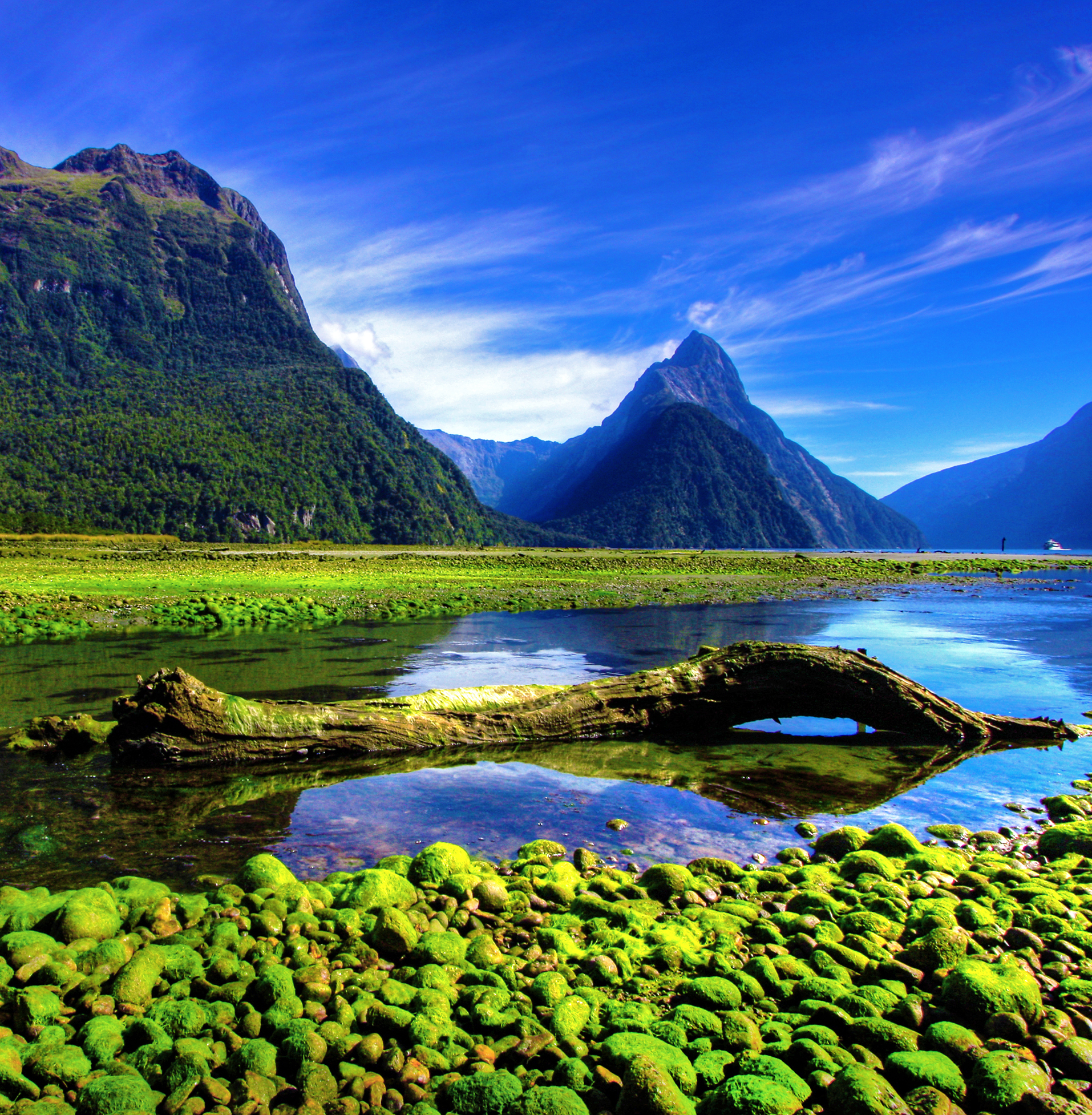 Is this the opportunity you’ve been waiting for? GP Jobs in New Zealand