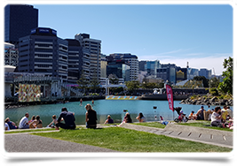 Making the Move to Wellington, New Zealand – A GP's Guide